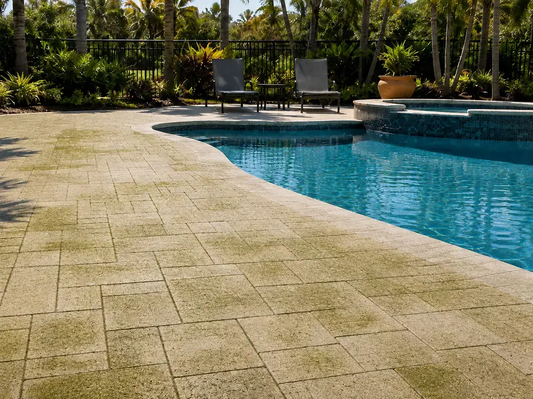 Why Summer Humidity Causes Green Algae on Driveways and Pool Decks