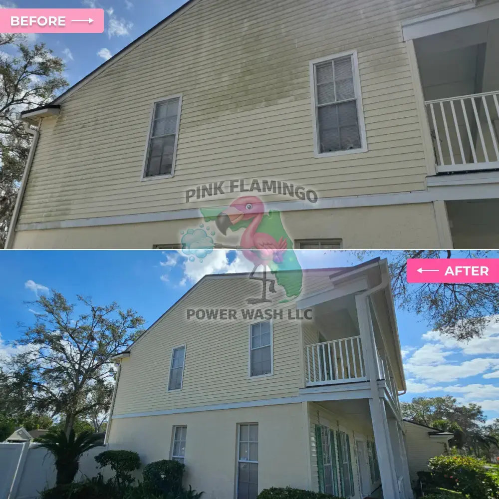 Before and after house exterior soft wash cleaning Tampa FL Before and after house exterior soft wash cleaning Tampa FL