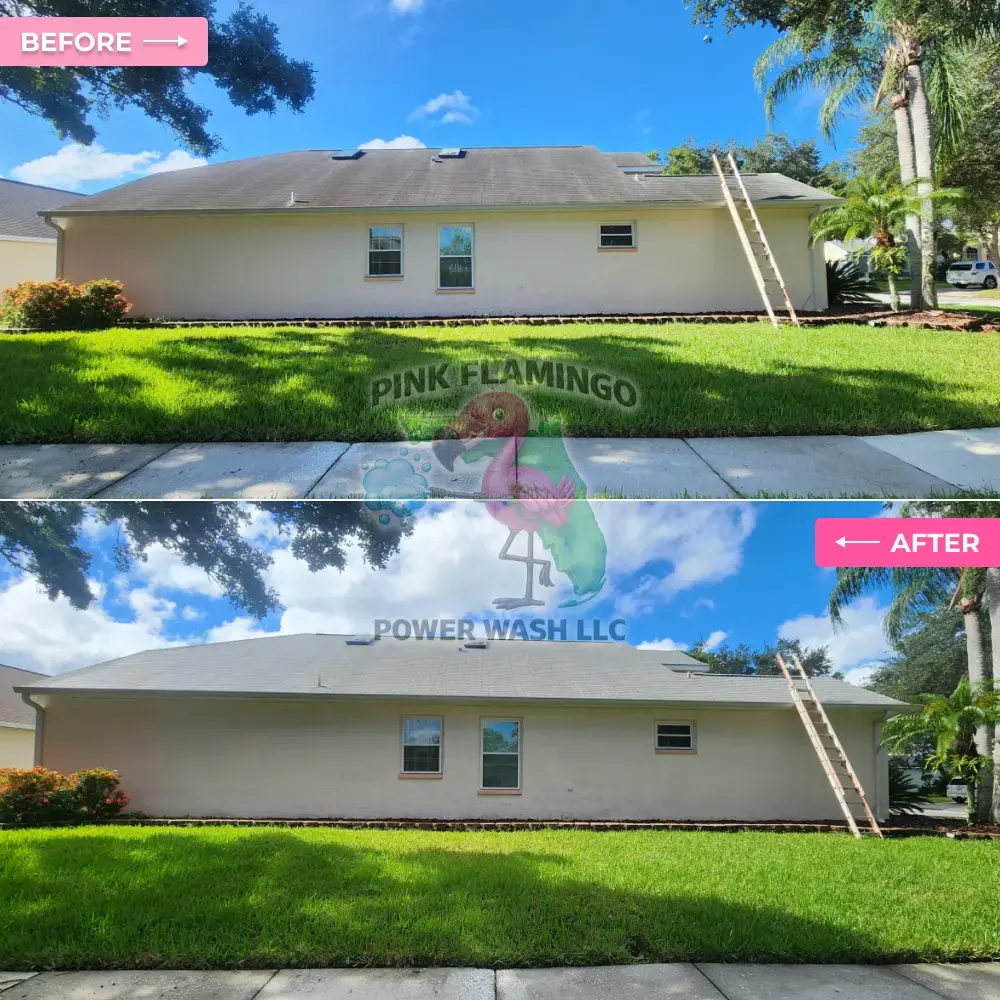 Before and after roof and house exterior soft wash Tampa FL Before and after roof and house exterior soft wash Tampa FL