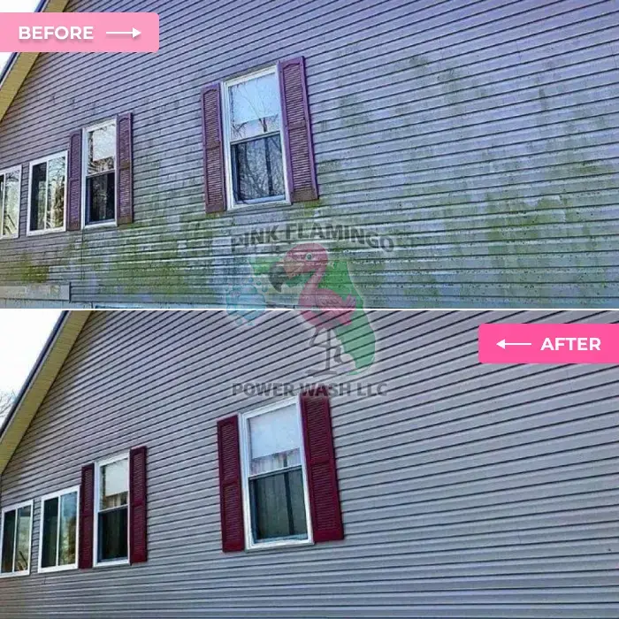 Before and after vinyl siding pressure washing Tampa FL Before and after vinyl siding pressure washing Tampa FL