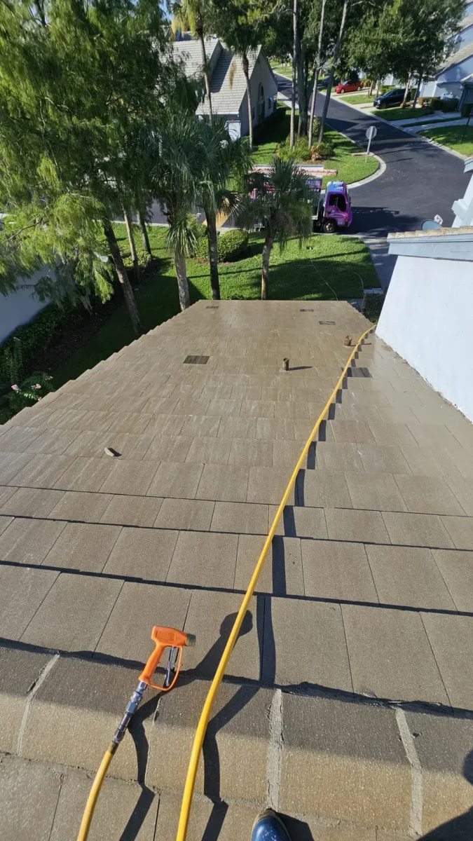 Let Us Restore Your Outdoor Living Space Pressure washing equipment on roof preparing for roof cleaning in residential neighborhood with palm trees and houses