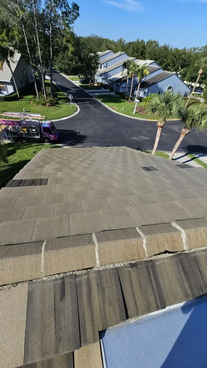 Let Us Restore Your Outdoor Living Space View from a rooftop overlooking a residential neighborhood with a roof cleaning service truck parked on the street