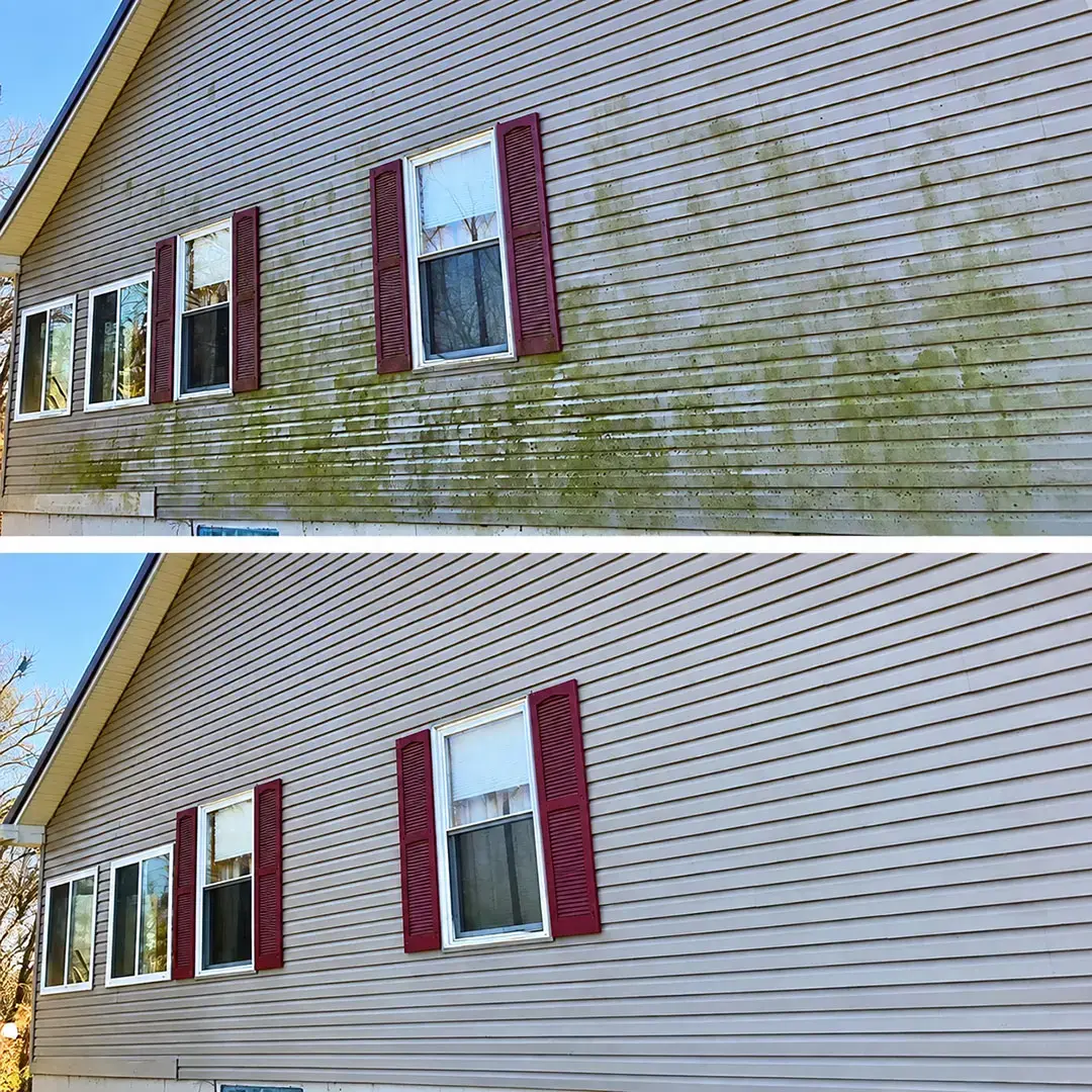Could Soft Washing Restore Your Home's Siding Without Damage?