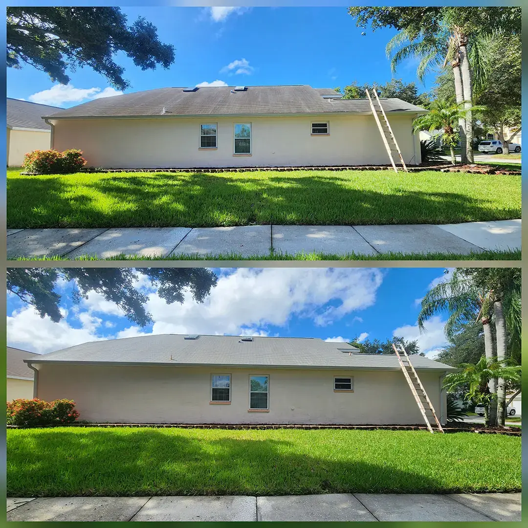 Can a Roof Soft Wash Make Your Home Look Years Newer? Before-and-after roof cleaning on a suburban home, with a ladder against the roof and a green lawn in front